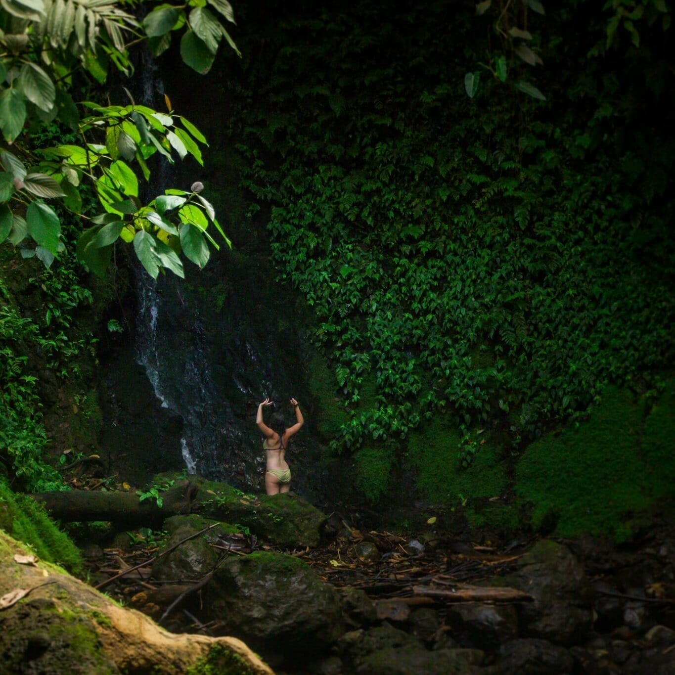 TRANSE-WITH-THE-WATERFALL TRANSE-WITH-THE-WATERFALL