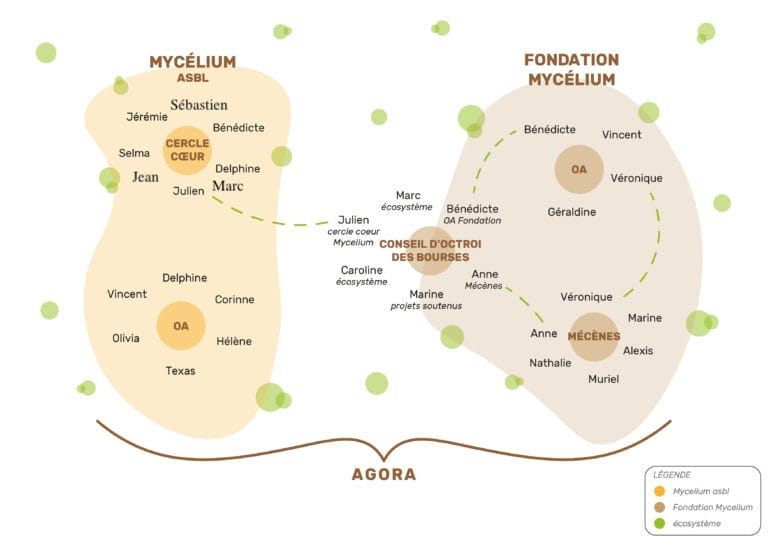 AGora Mycelium - organes