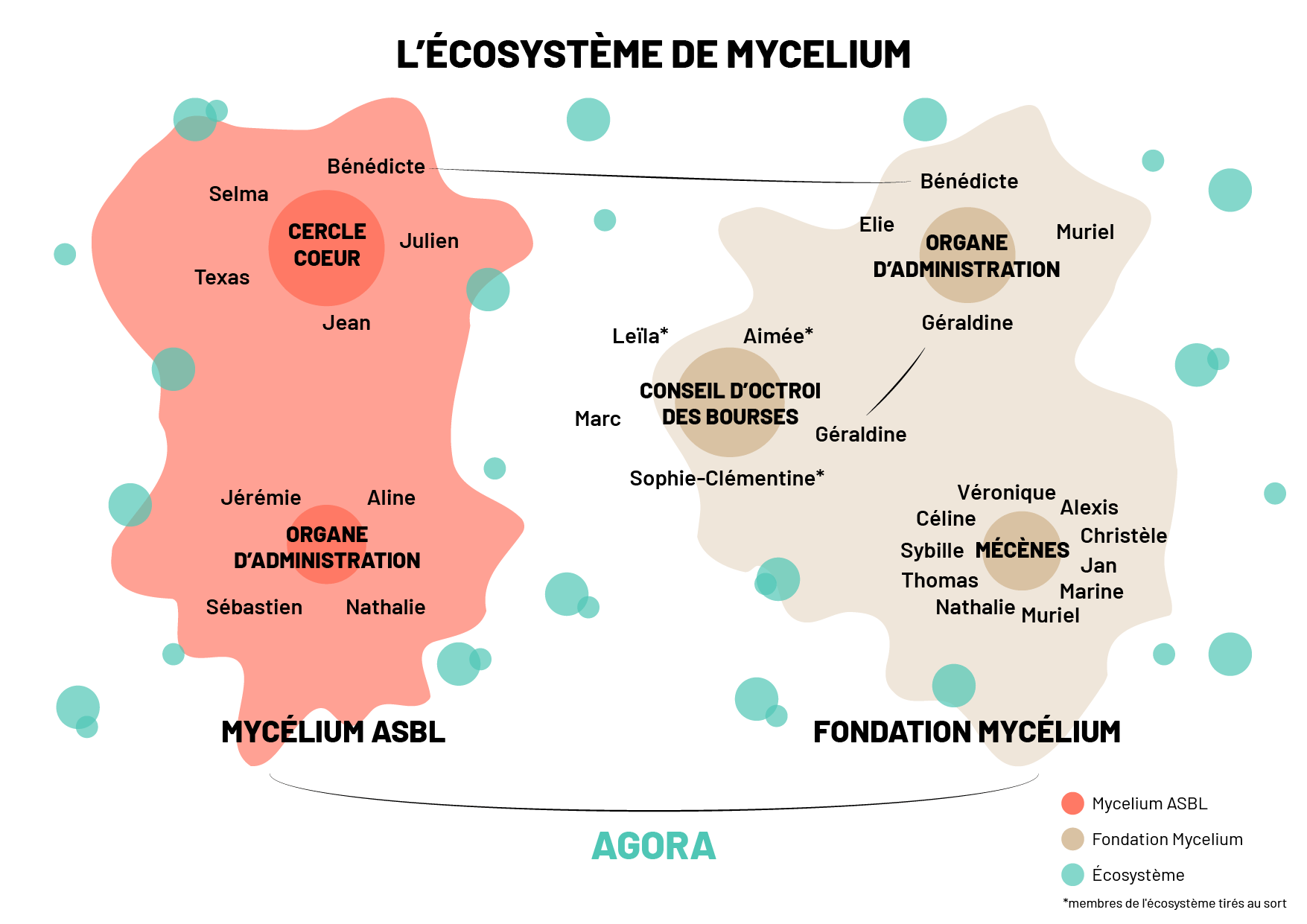 Organigramme 2025 OK-01